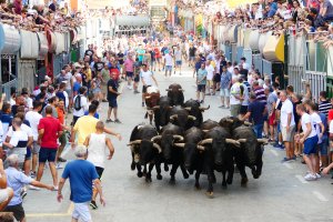 Pedreguer celebrar les primeres Festes de Juliol post-covid sense quintada