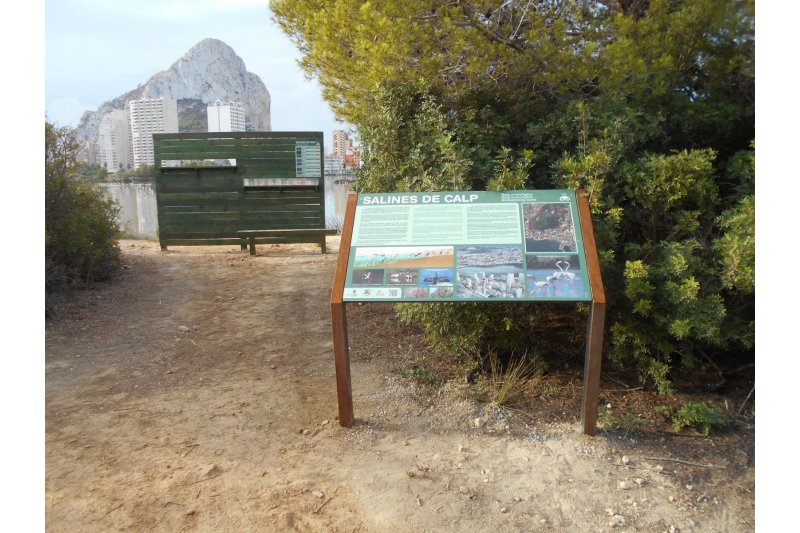 Nueva ruta de avistamiento de aves en Las Salinas de Calp