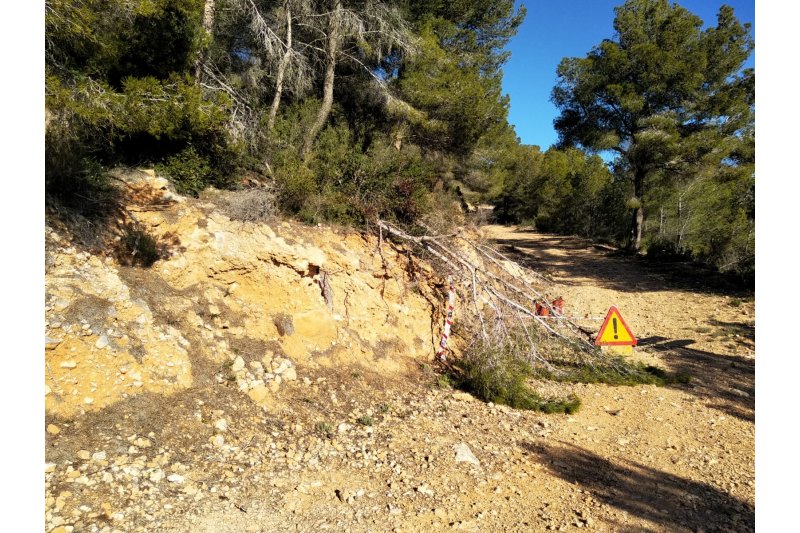 Diputacin mejora la masa forestal de la Serra dOlt