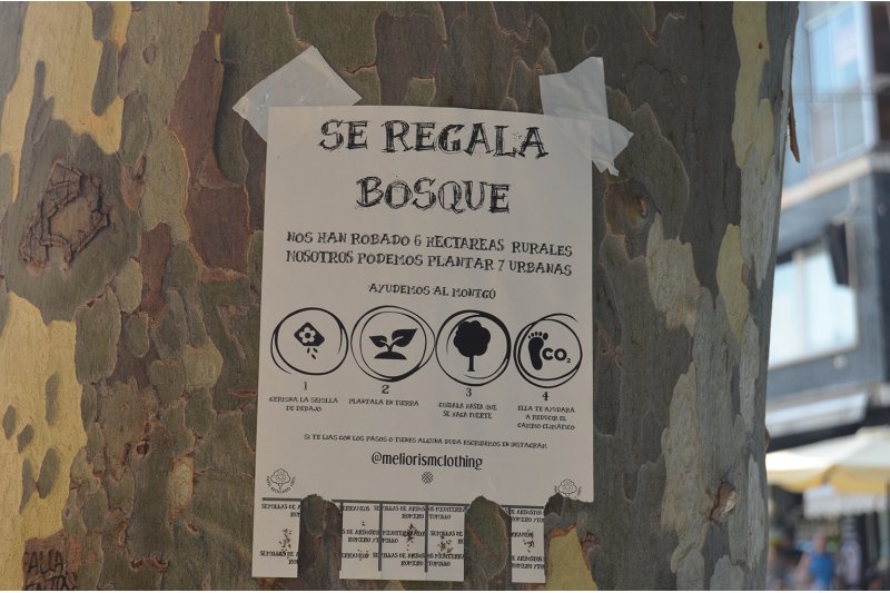 Una asociacin sin nimo de lucro utiliza los rboles de Marqus de Campo para regalar bosques