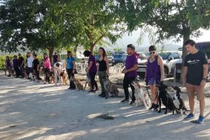 El Ayuntamiento de Pedreguer acerca la educacin canina en los centros educativos 