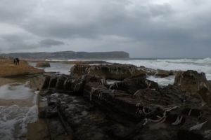 Ecologistes Marina Alta denuncia nuevos vertidos de toallitas higinicas en la costa de Xbia