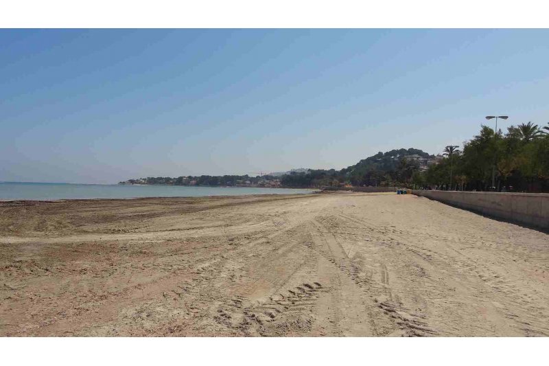 Reunin con el Servicio Provincial de Costas para tratar la regeneracin de las playas de Dnia