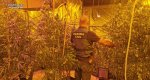 La Guardia Civil localiza una plantacin de marihuana en un chalet de Calp