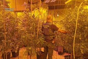 La Gurdia Civil localitza una plantaci de marihuana en un xalet de Calp
