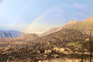 Gabriela Bravo confirma que la lluvia ha refrescado los puntos crticos del incendio en Fontilles y la Vall dAlcal