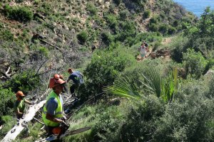 Les brigades municipals de Xbia realitzen treballs de restauraci ambiental en la senda del Cap de Sant Antoni 