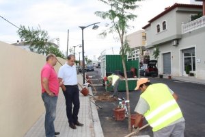 El Ayuntamiento de Ondara prev duplicar el nmero de rboles en zonas urbanas en un ao 