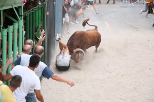 Una grave cogida empaa els bous al carrer de Pedreguer