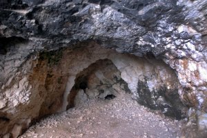 La tercera campanya d'excavacions en la Cova del Comte de Pedreguer descobreix noves mostres d'art rupestre del Paleoltic
