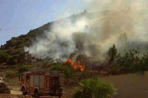 Un incendio forestal junto al Parque del Patronato desata la alarma en Pedreguer