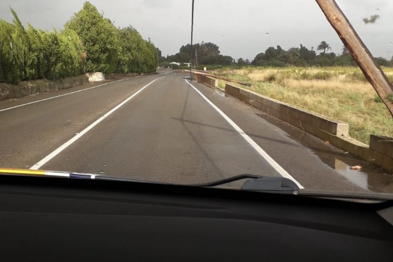 Un rbol cae en la carretera de Dnia a Ondara