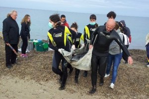 Los tcnicos no consiguen salvar a un delfn herido frente al puerto de Dnia