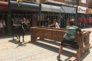 Pedreguer: Vint-i-una entrades faran crrer els aficionats dels bous al carrer durant les Festes de Juliol