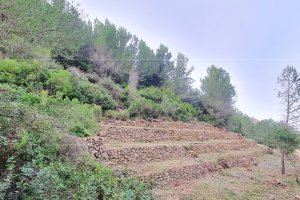 El Pla de prevenci dincendis forestals de Pego arriba a les partides del Xical i Montnegre