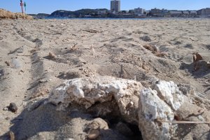 Los ecologistas piden el cierre de la playa del Arenal de Xbia por las condiciones insalubles 