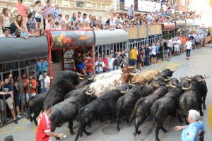 Una entrada amb vint bous i dos mansos per tancar les Festes de Pedreguer