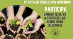 Se busca voluntariado para una plantacin de bosque mediterrneo en Orba