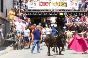 El Ayuntamiento de Pedreguer no autoriza una manifestacin contra los bous al carrer porque no se garantiza la seguridad