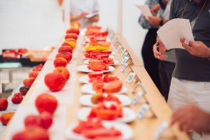 La gran fiesta del tomate, en Els Magazinos