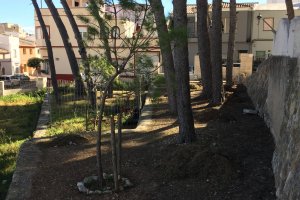 El Ayuntamiento de Ondara impulsa la rehabilitacin del patio del antiguo colegio Els Pins