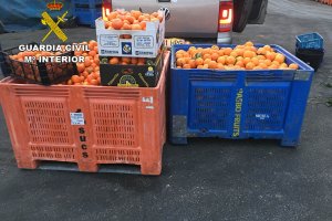 La Guardia Civil de Alicante detiene a ocho personas por introducir 191 toneladas de naranja ilegal en el mercado