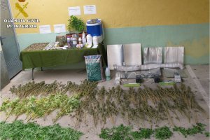 La Guardia Civil desmantela un punto de produccin y venta de droga en Pego