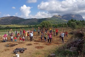 El Ayuntamiento de Pedreguer y Fundem convierten 27.000 m de terreno degradado en un bosque mediterrneo