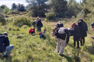 Una excursió de Podemos per a descobrir les orquídies de Xàbia