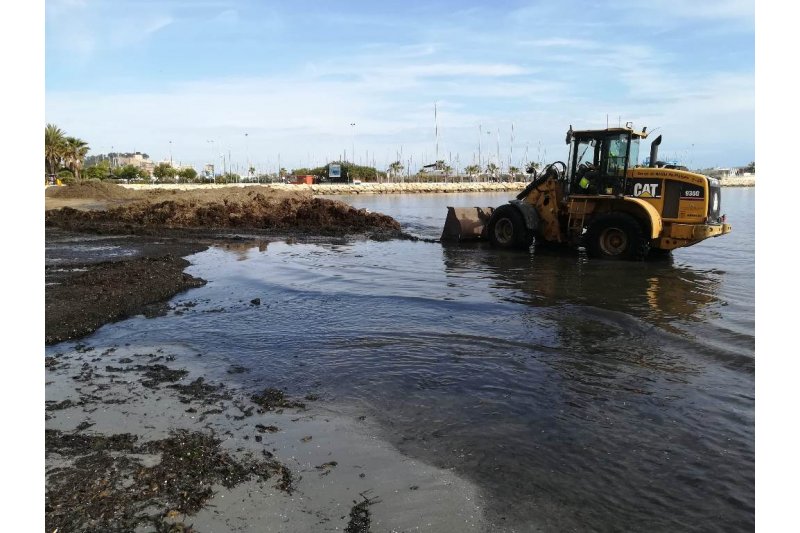 El dinero previsto para construir una planta de tratamiento de algas se destinar a mejorar la limpieza de playas