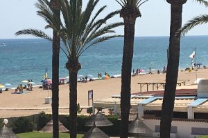 Bandera amarilla en las playas de Les Bovetes, Els Molins y l'Almadrava tras detectarse carabelas  portuguesas 