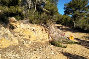 Diputacin mejora la masa forestal de la Serra dOlt