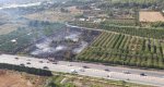 Un incendio con varios focos en parcelas de vegetacin y cultivo obliga a cortar la carretera Dnia-Ondara