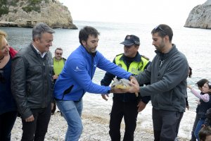 La tortuga Della torna al mar a  Xbia