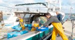 Els Magazinos convoca el I Concurso Viu larrs mariner en homenaje a los pescadores