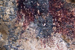 Tres senderistes descobreixen un pintura rupestre del neoltic en el barranc de la Canal de Pego
