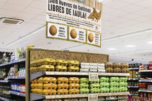 Supermercats masymas avana en el benestar animal: noms ven ous de gallina lliures de gbia
