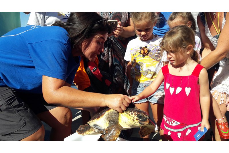 La tortuga Chiquiti, recuperada en el Oceanogrfic, regresa al mar de la mano del CN Jvea