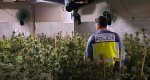 Descubren una plantacin de marihuana en un chalet de Les Rotes 