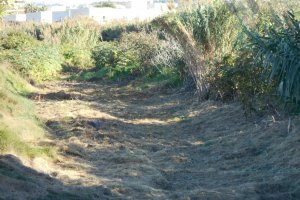 El Ayuntamiento de Calp pide a la CHJ para que  limpie  y desbroce los cauces y barrancos del municipio