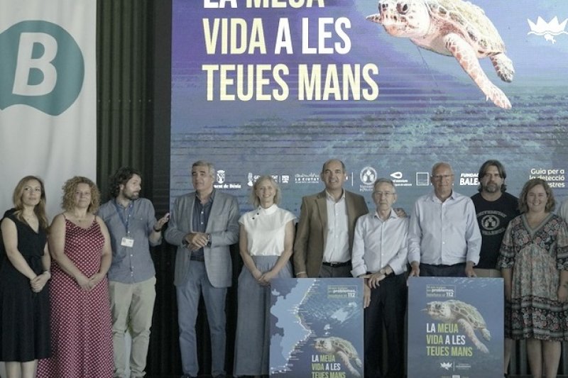 La campaña de sensibilización para proteger a las tortugas llegará a Dénia y Xàbia 