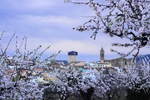 Alcalal celebra la tercera edicin de Feslal que arranca el 3 de febrero con al Ruta de la Tapa