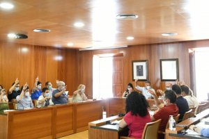 El pleno de Xbia pide poder hacer uso de remanente de tesoreria de 2019 para poder ampliar las polticas sociales y las ayudas econmicas