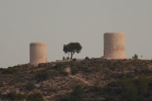 Conclou la segona edici del Taller d'Ocupaci Verd i Pedra de Pedreguer que ha rehabilitat els Molinets