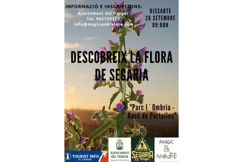 Medi Ambient dEl Verger organitza una jornada per a descobrir la flora de Segria
