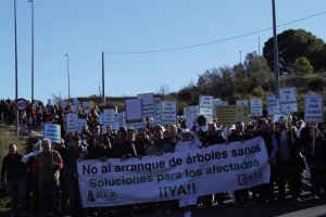 Els agricultors de sec de la Marina Alta es manifesten contra les mesures de la Conselleria per combatre la plaga de la xylella