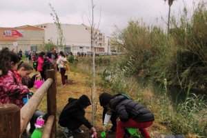 Un centenar de escolares protagoniza una plantacin de rboles en el Xopar de Ondara