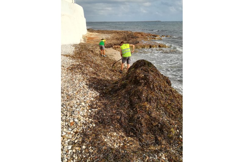 Dnia recoge 1.220 toneladas de alga durante el mes de julio
