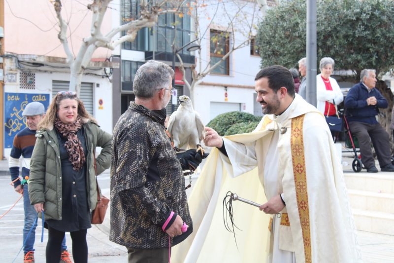 La festa de Sant Antoni a Ondara beneeix a ms de quatre-centes mascotes
