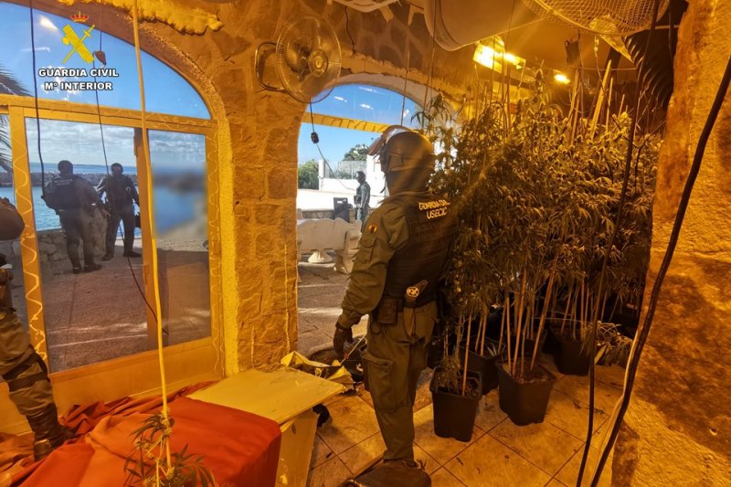 La Guardia Civil localiza una plantación de marihuana en un chalet de Calp